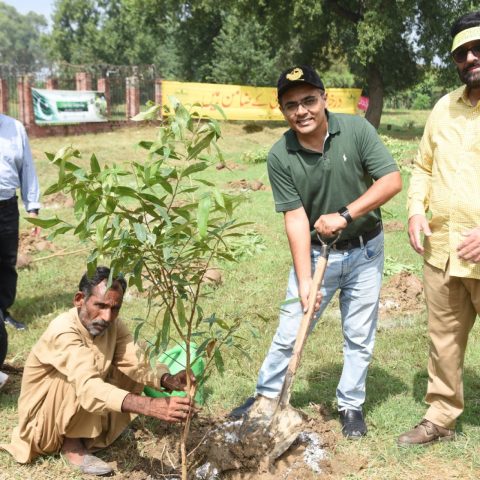 Rotary Club Lahore Corporate and Punjab Forest Department Plant 2000 Trees at Jallo Park