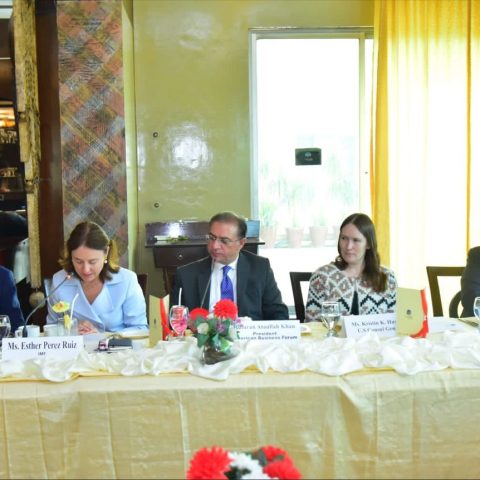 American Business Forum IMF's Mission Chief Esther Perez Ruiz