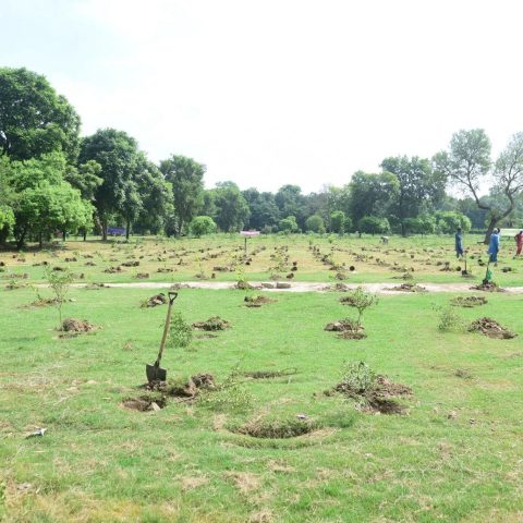 Fast Cables launched a tree plantation drive to promote sustainability-3